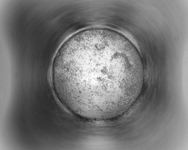 X0000096960911200802221340