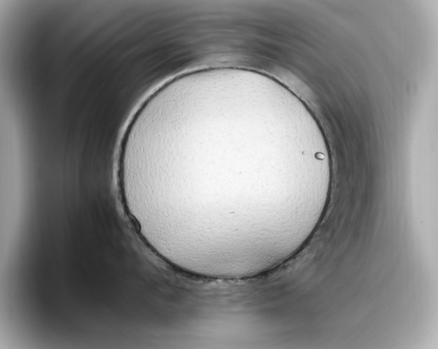 X0000096960912200802221340