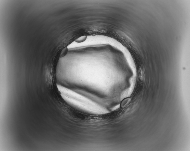 X0000096960915200802221339