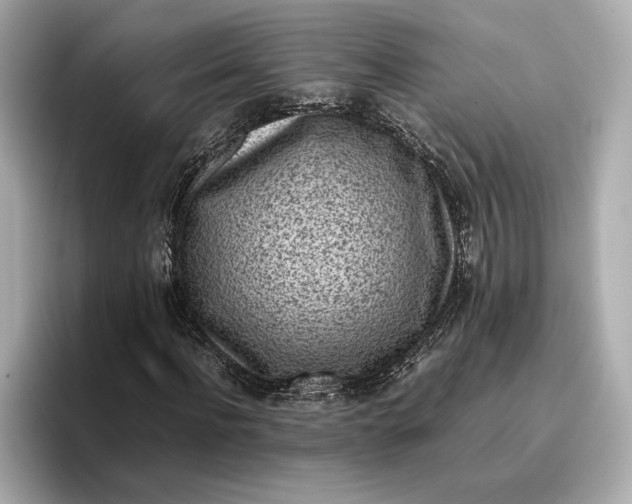 X0000096960916200802221339