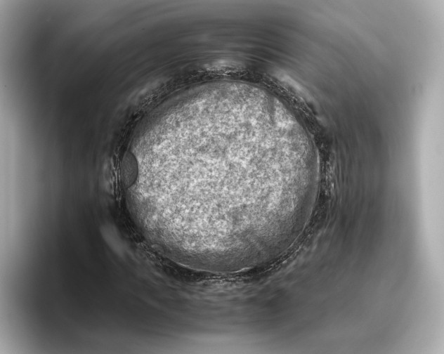 X0000096960917200802221339