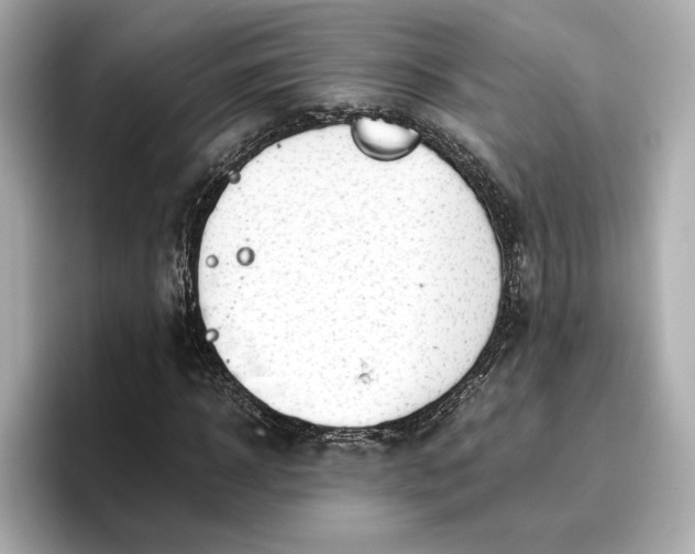 X0000096960918200802221339