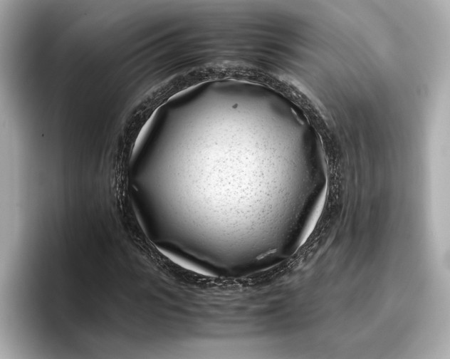 X0000096960919200802221339