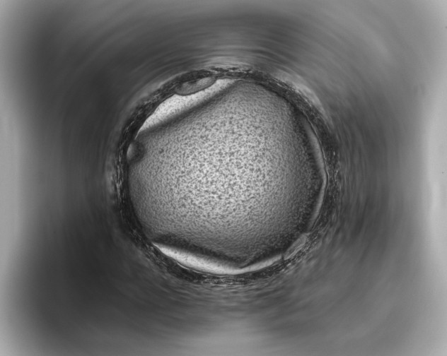 X0000096960920200802221339