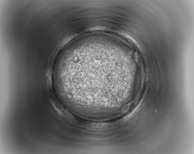 X0000096960921200802221339