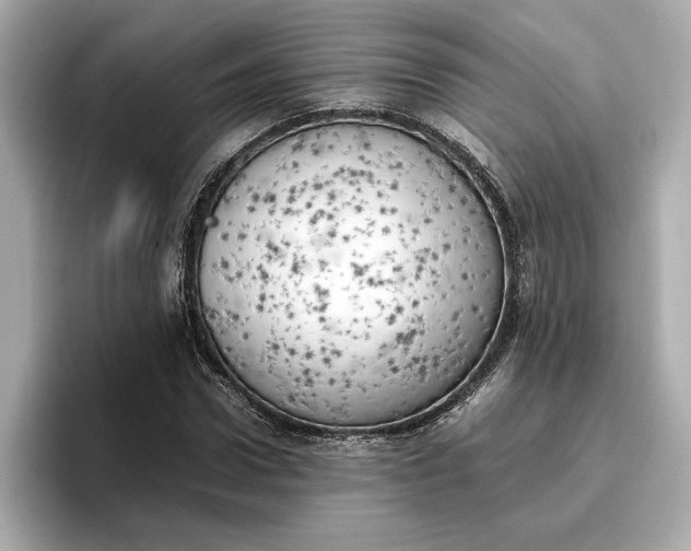 X0000096960922200802221339