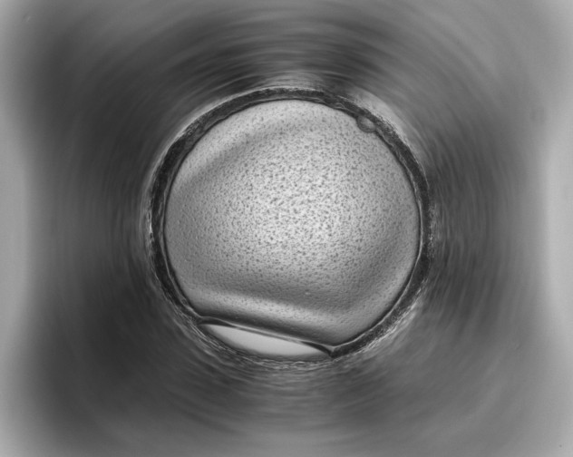 X0000096960923200802221339