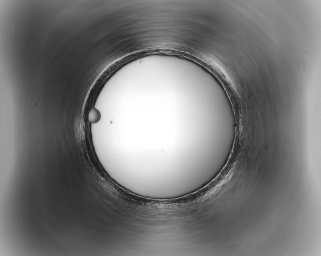 X0000096960924200802221339