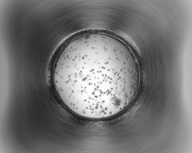 X0000096960926200802221339