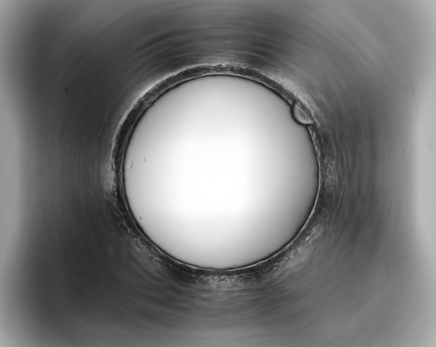 X0000096960927200802221339