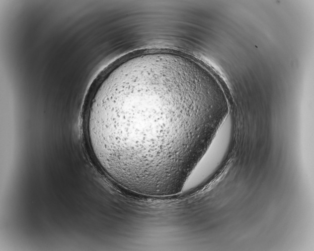 X0000096960928200802221339