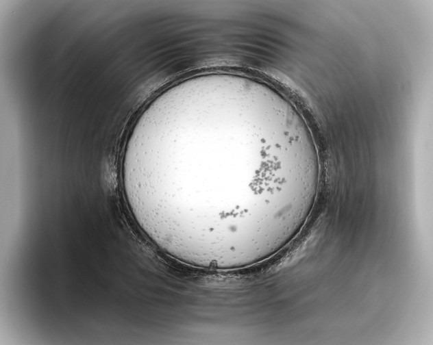 X0000096960929200802221339