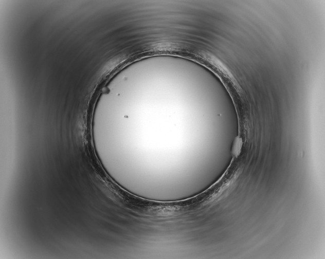 X0000096960930200802221339