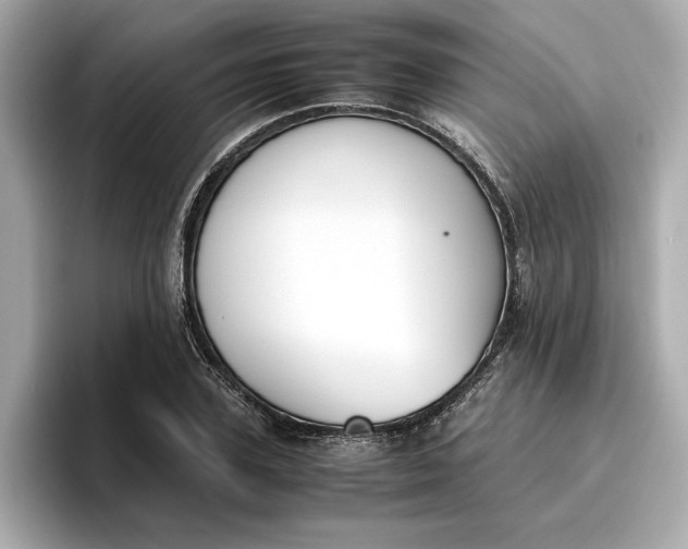 X0000096960931200802221339