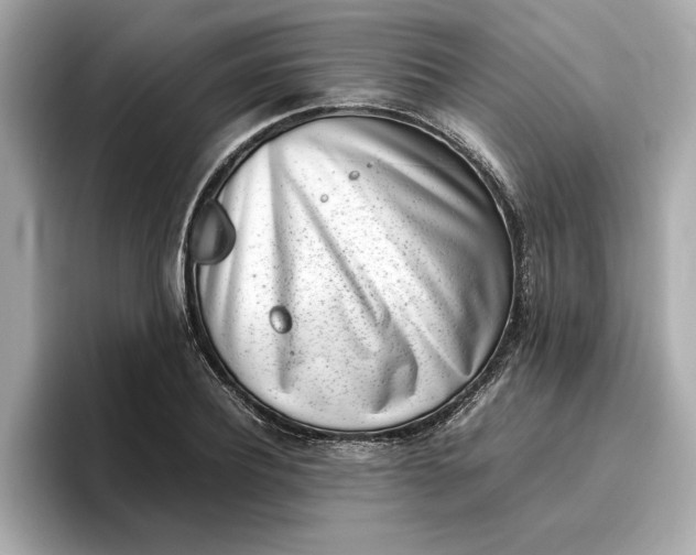 X0000096960932200802221339