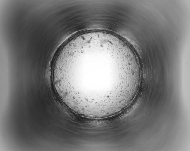 X0000096960933200802221339