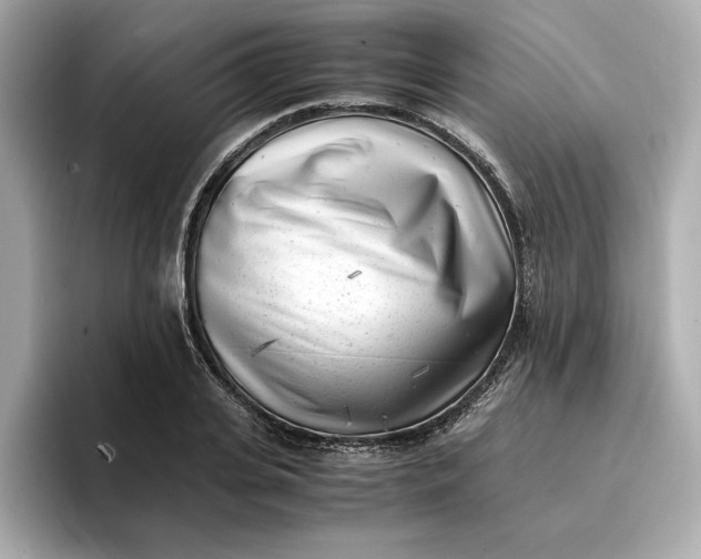 X0000096960935200802221339