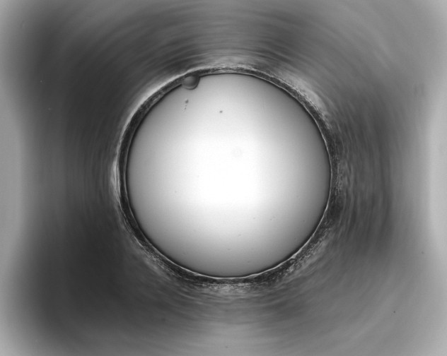 X0000096960936200802221339