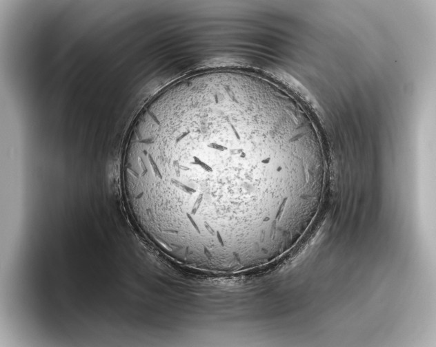 X0000096960937200802221339