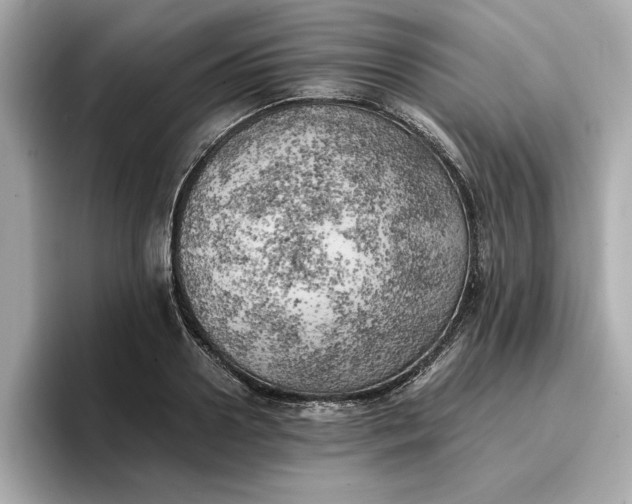 X0000096960938200802221339