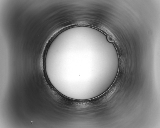 X0000096960939200802221339