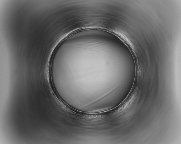 X0000096960941200802221339