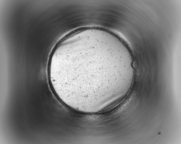 X0000096960943200802221339