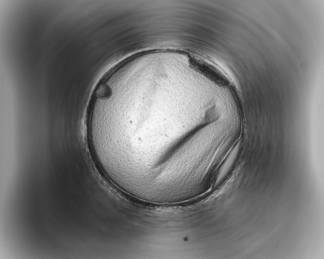 X0000096960944200802221339