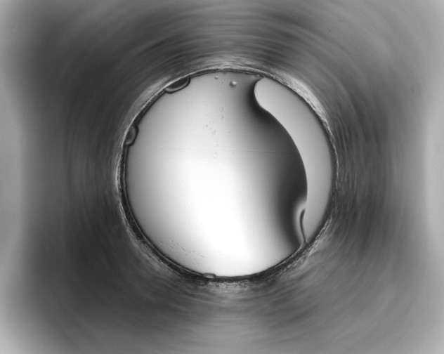 X0000096960946200802221339