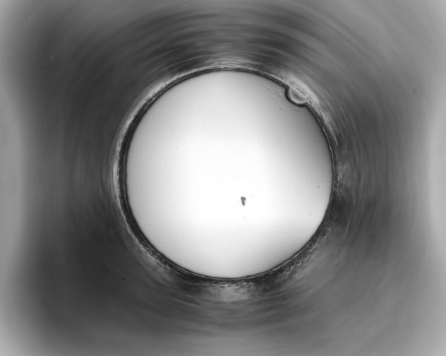 X0000096960947200802221339