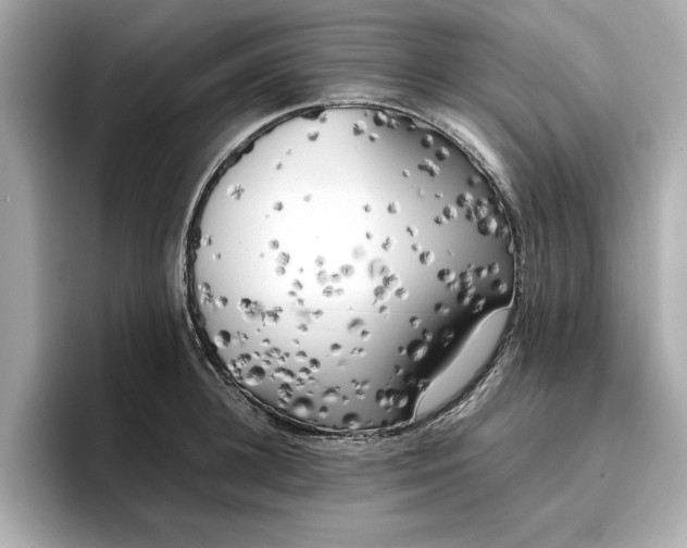 X0000096960948200802221339