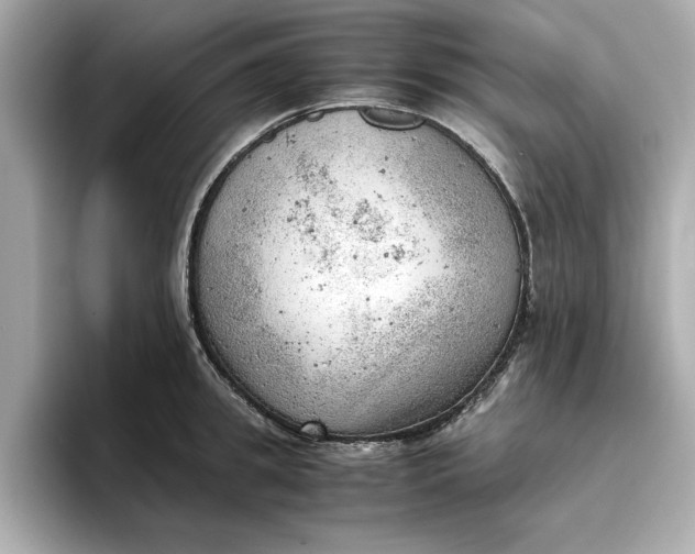 X0000096960949200802221339