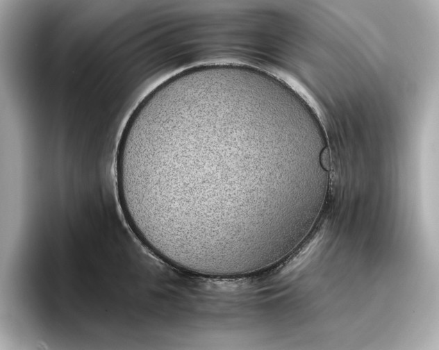 X0000096960951200802221339