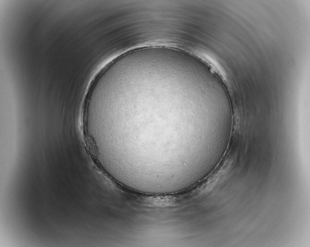 X0000096960952200802221339