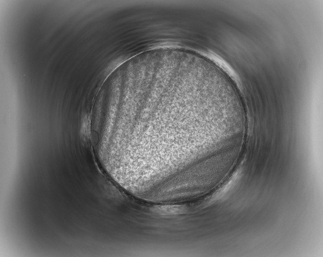 X0000096960953200802221339