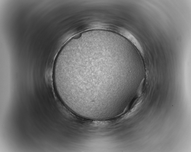 X0000096960954200802221339