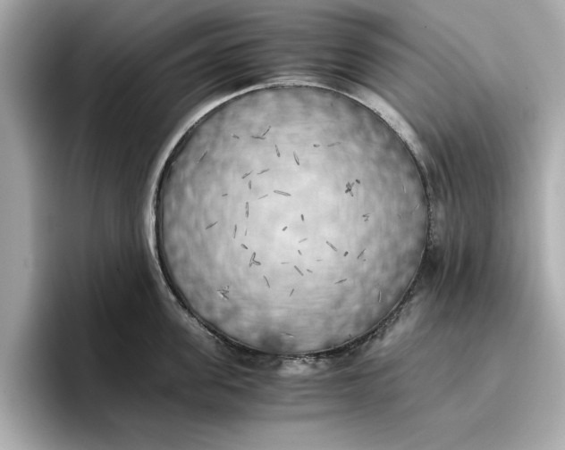 X0000096960955200802221339