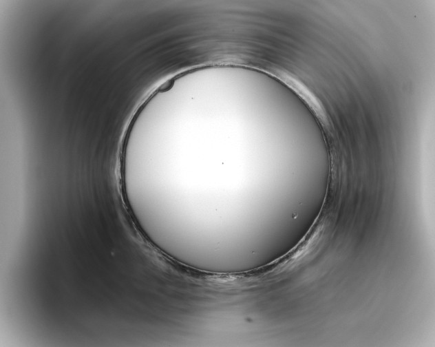 X0000096960956200802221339