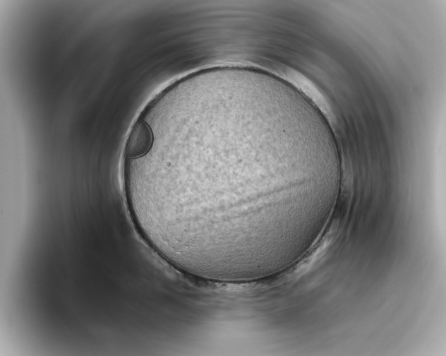 X0000096960958200802221339