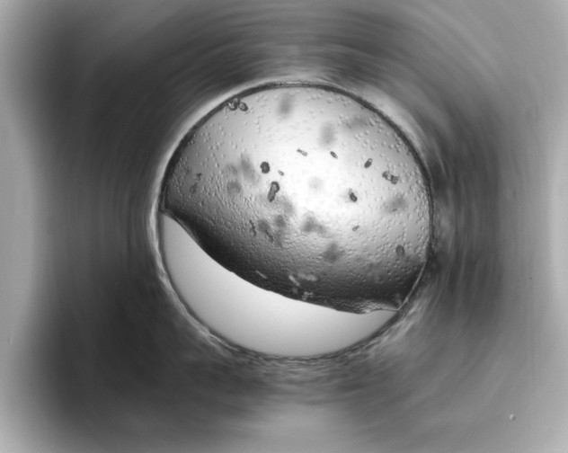 X0000096960959200802221339