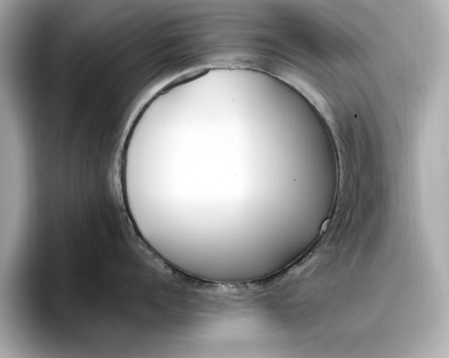 X0000096960960200802221339