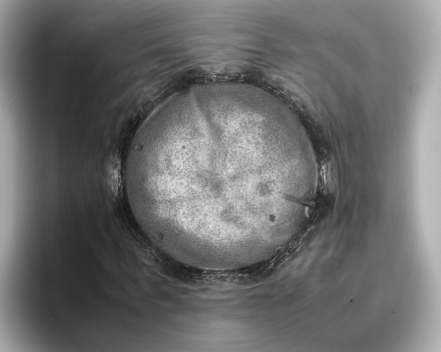 X0000096960963200802221339