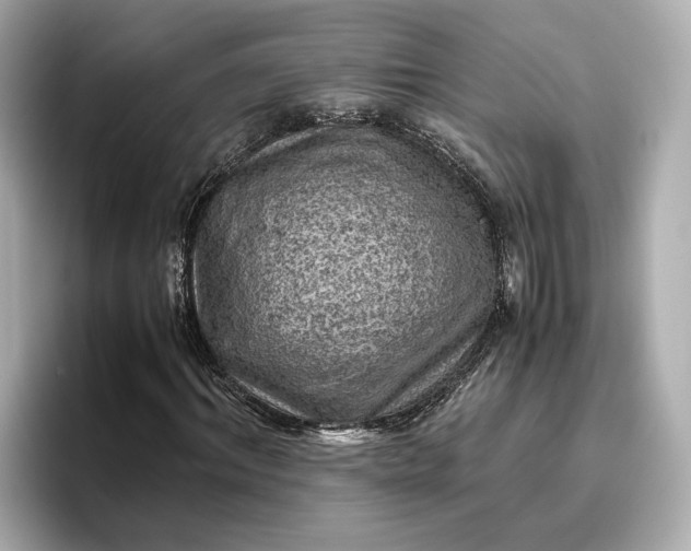 X0000096960964200802221339