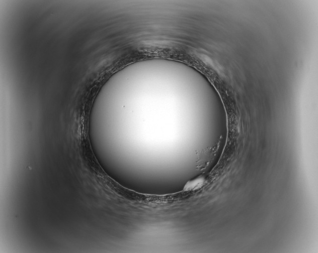 X0000096960965200802221339