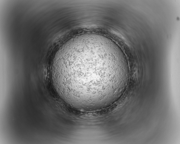 X0000096960966200802221339