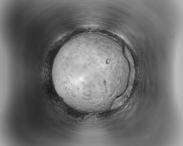 X0000096960967200802221339