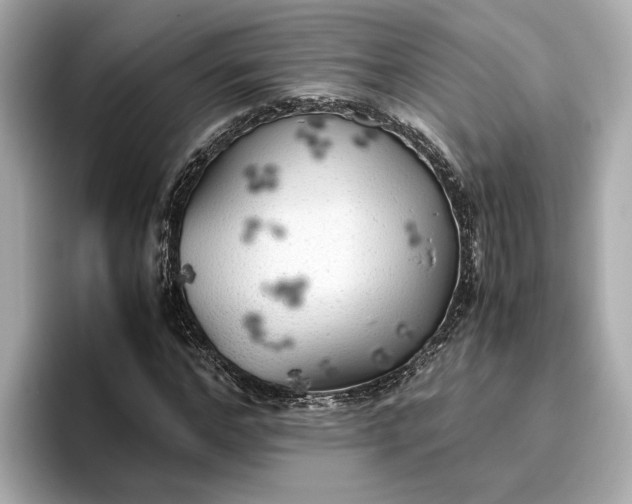 X0000096960968200802221339