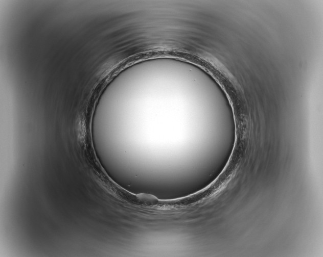 X0000096960969200802221339