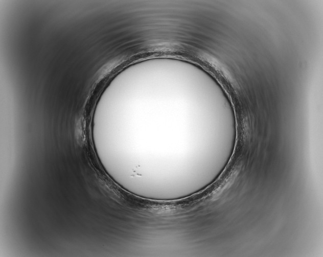 X0000096960970200802221339