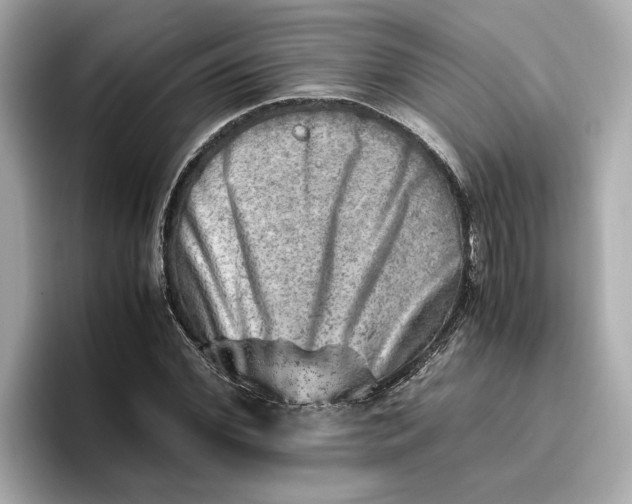 X0000096960972200802221339